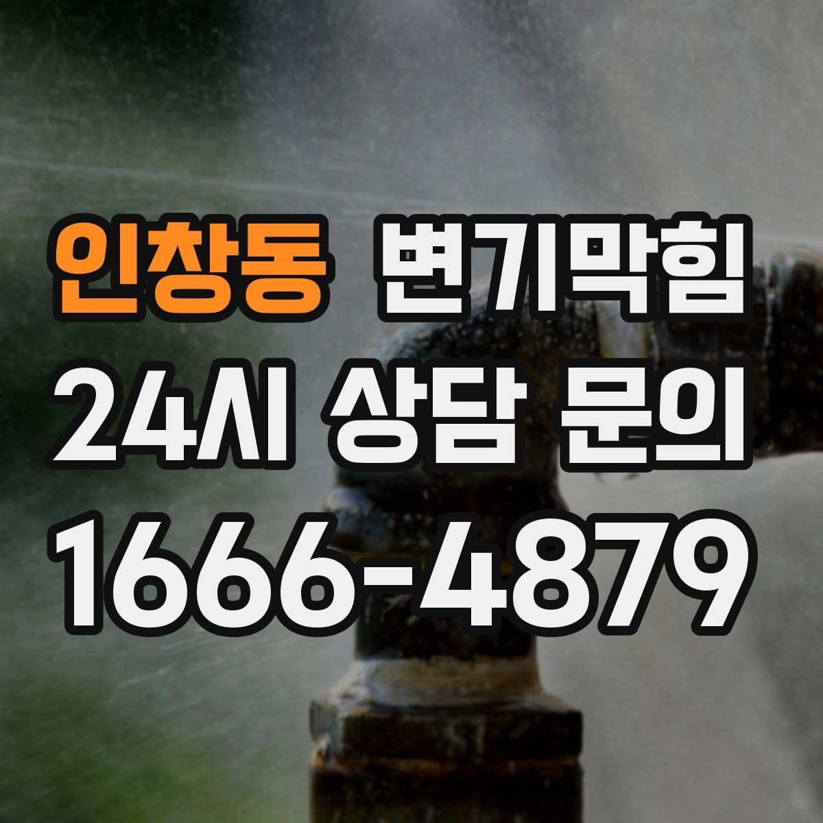 인창동 변기막힘 식당 화장실역류 피크 타임 사전 종료