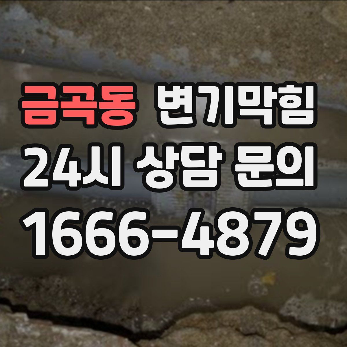 금곡동 변기막힘