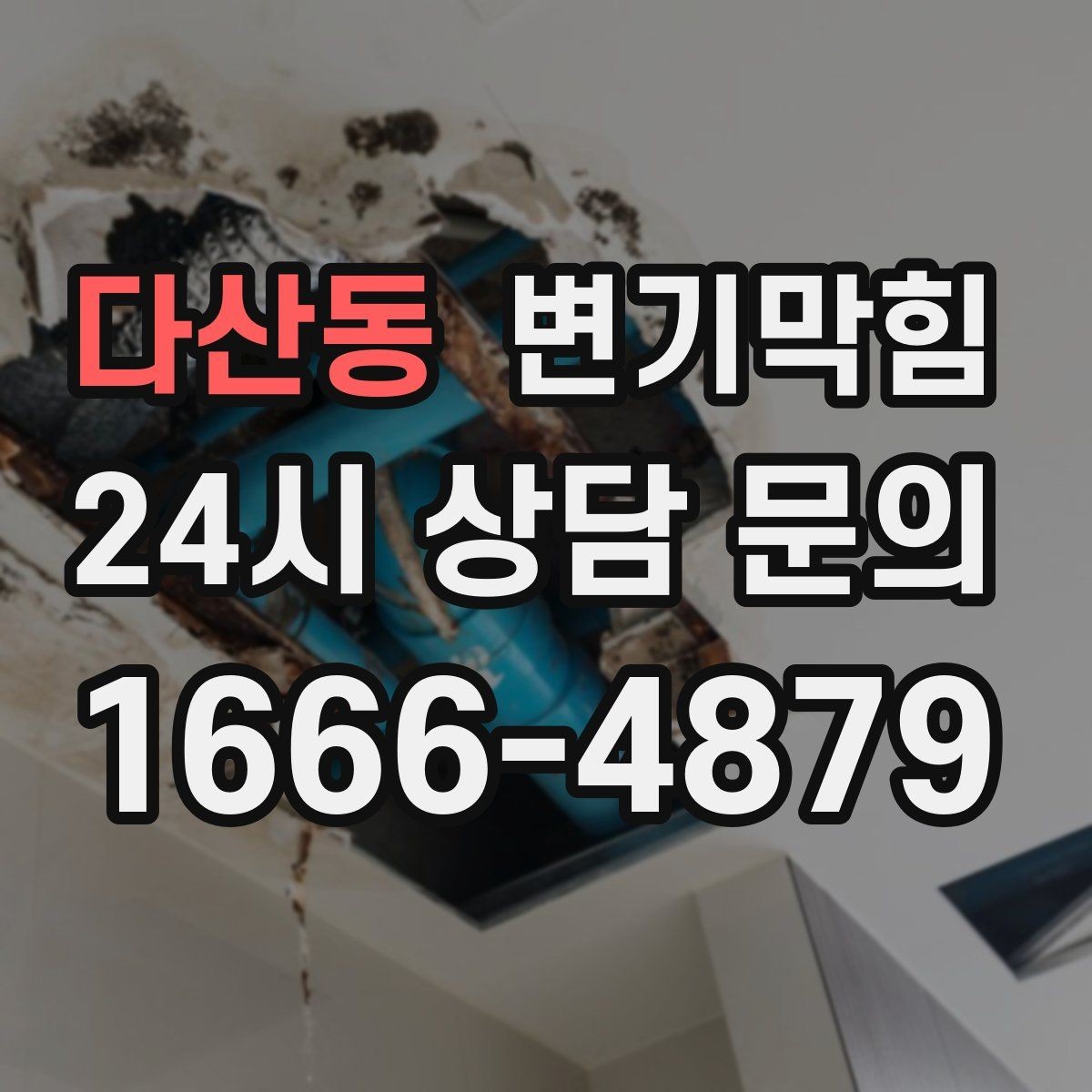 다산동 변기막힘 카페 배수구막힘 오픈 향 되찾기
