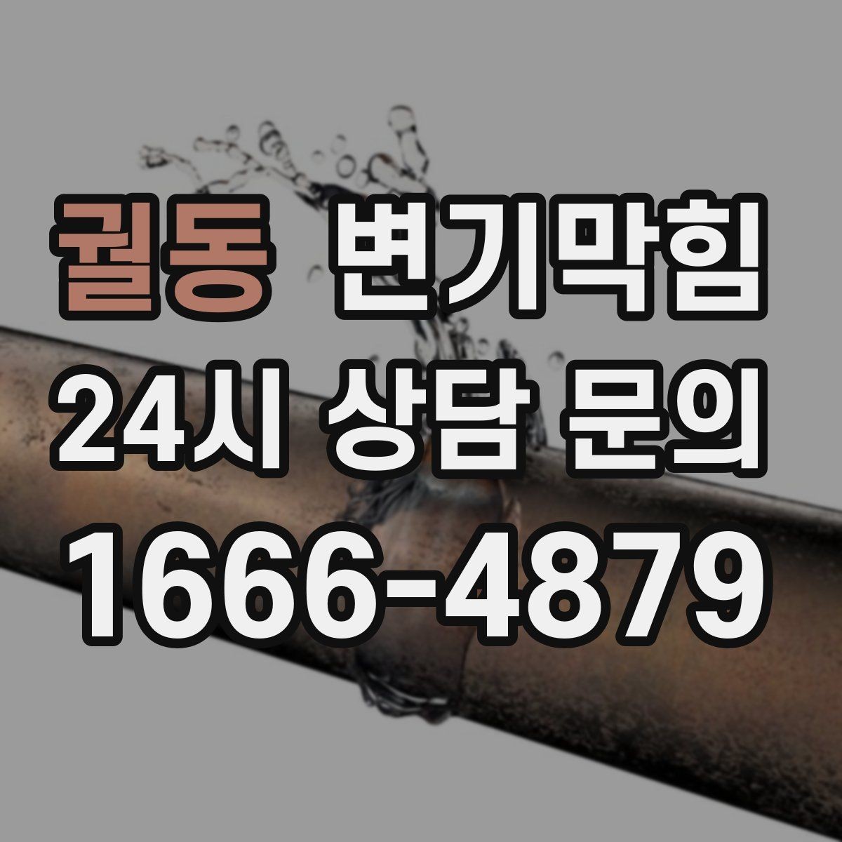 궐동 변기막힘 사무실 화장실뚫기 회의 전 30분 처리