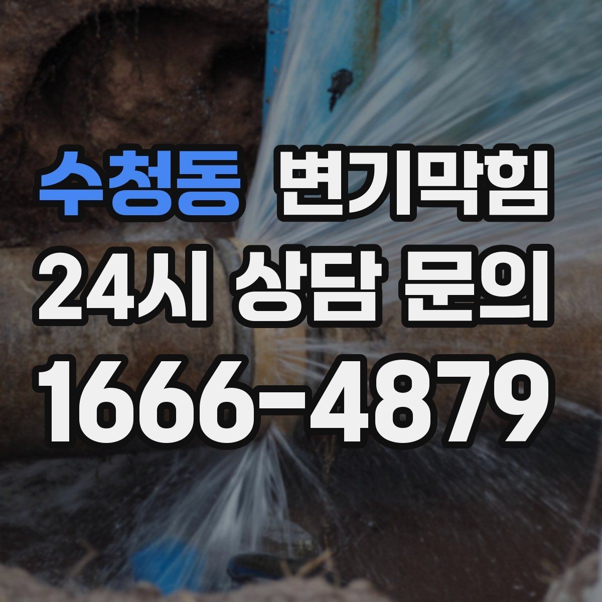 수청동 변기막힘 카페 화장실역류 향 보존 복구기