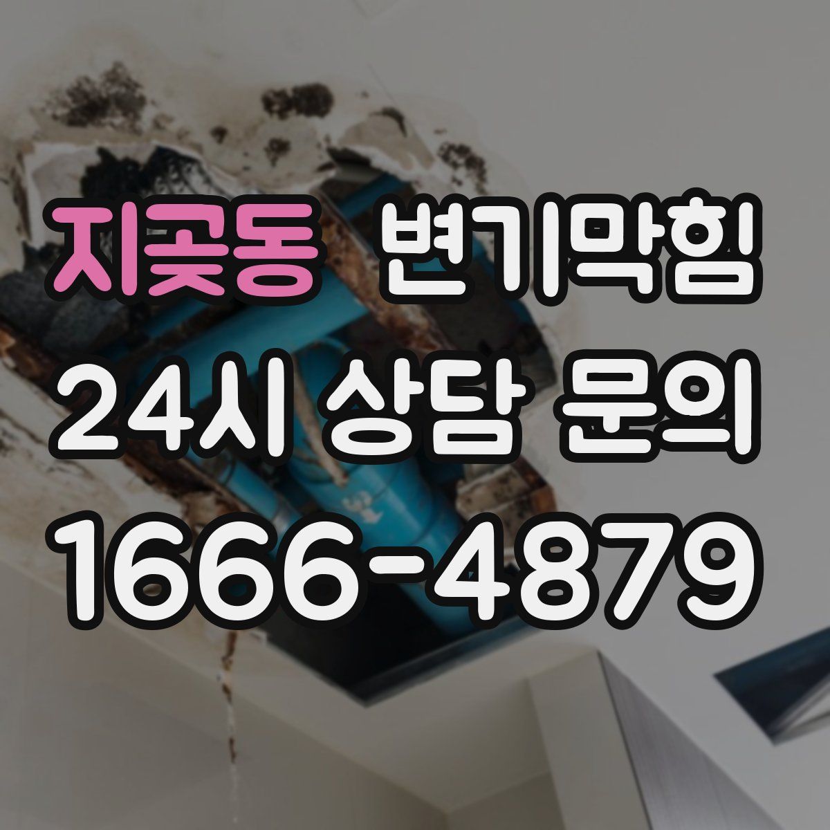 지곶동 변기막힘