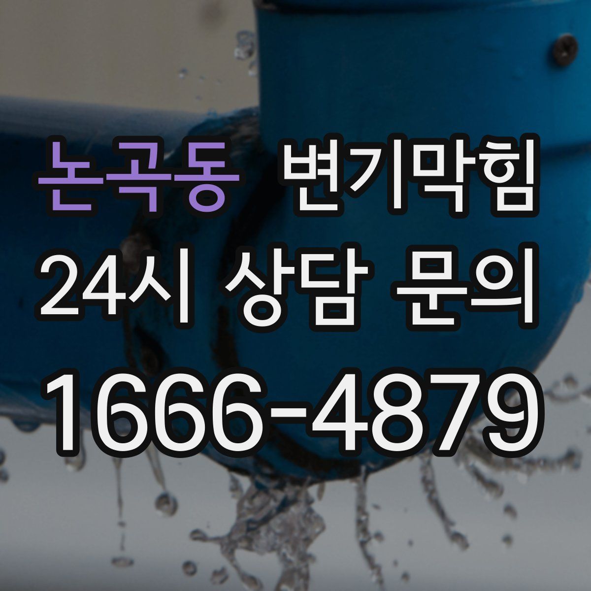 논곡동 변기막힘