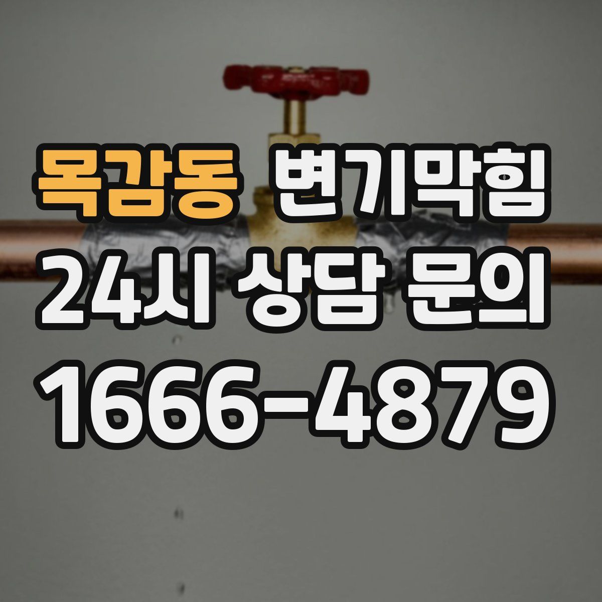 목감동 변기막힘