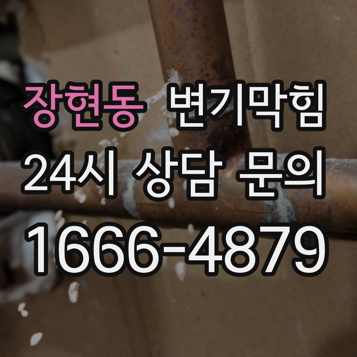 장현동 변기막힘 카페 수봉 유지로 악취 제로