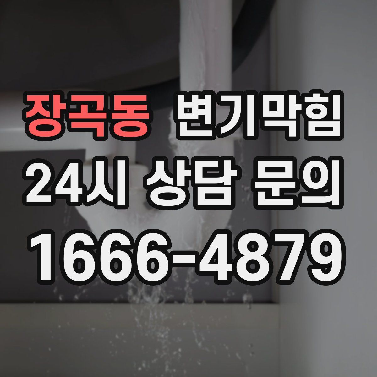 장곡동 변기막힘