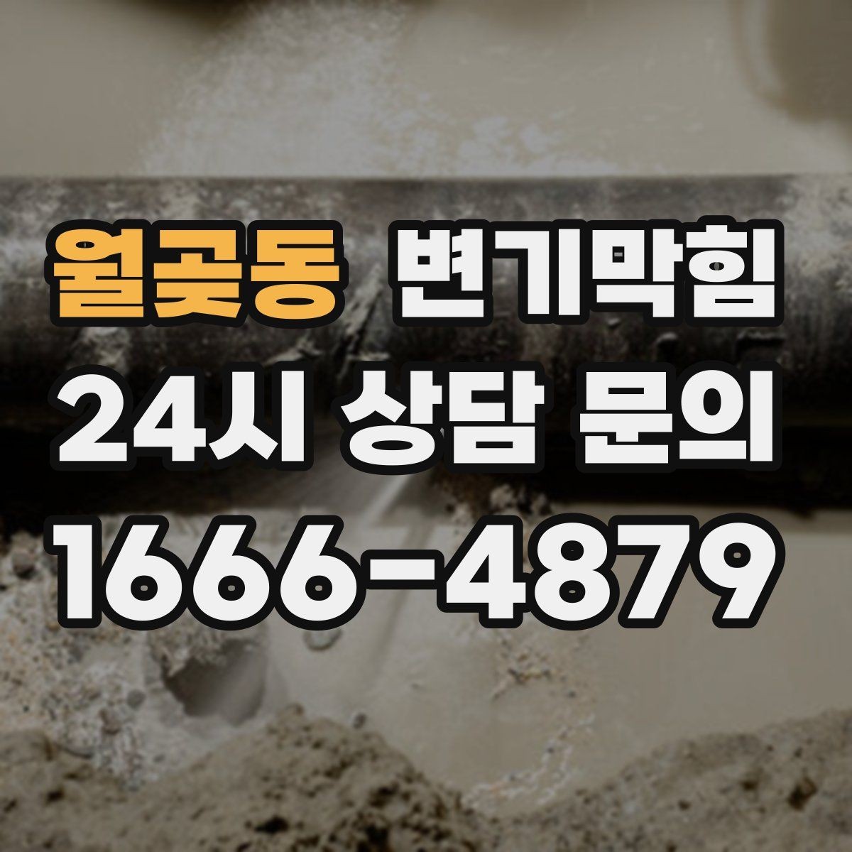 월곶동 변기막힘 상가 화장실뚫기 전후 수치 비교