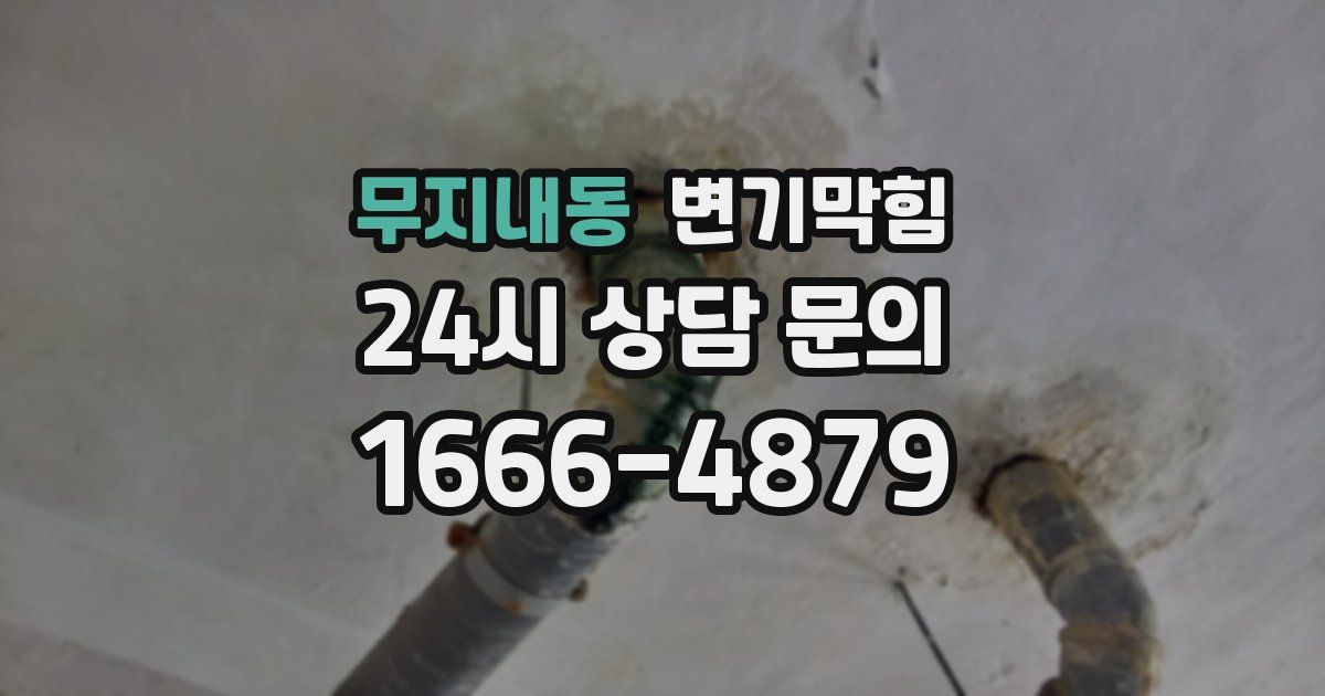 무지내동 변기