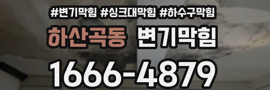 변기막힘