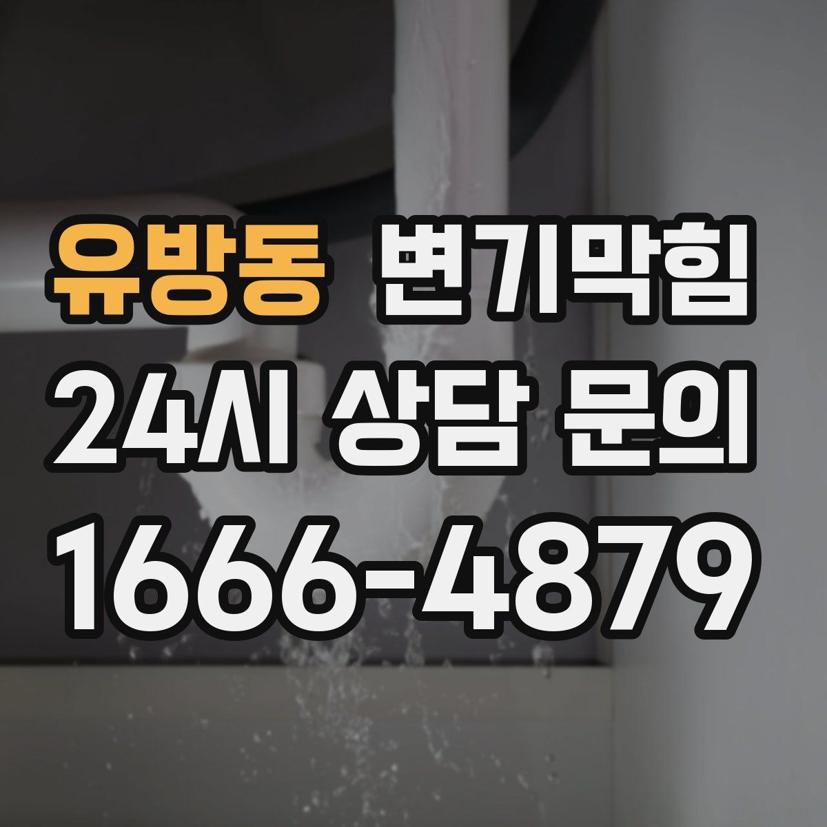 유방동 변기막힘