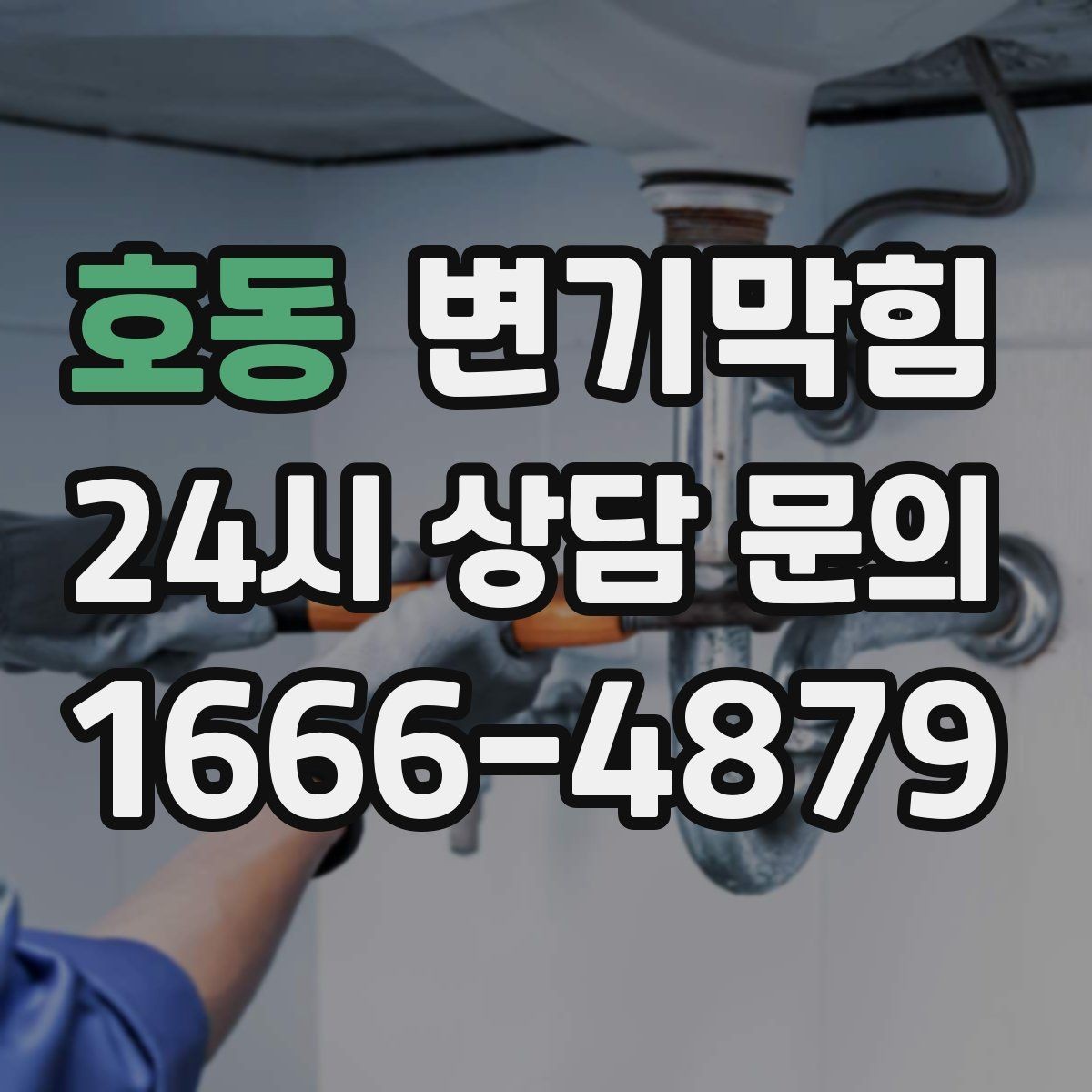 호동 변기막힘 미용실 화장실막힘 약제와 컷팅 병행기