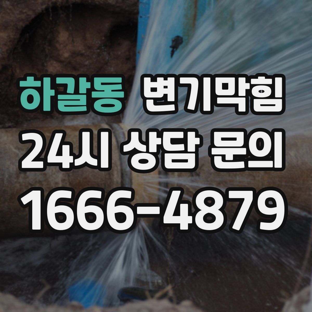 하갈동 변기막힘