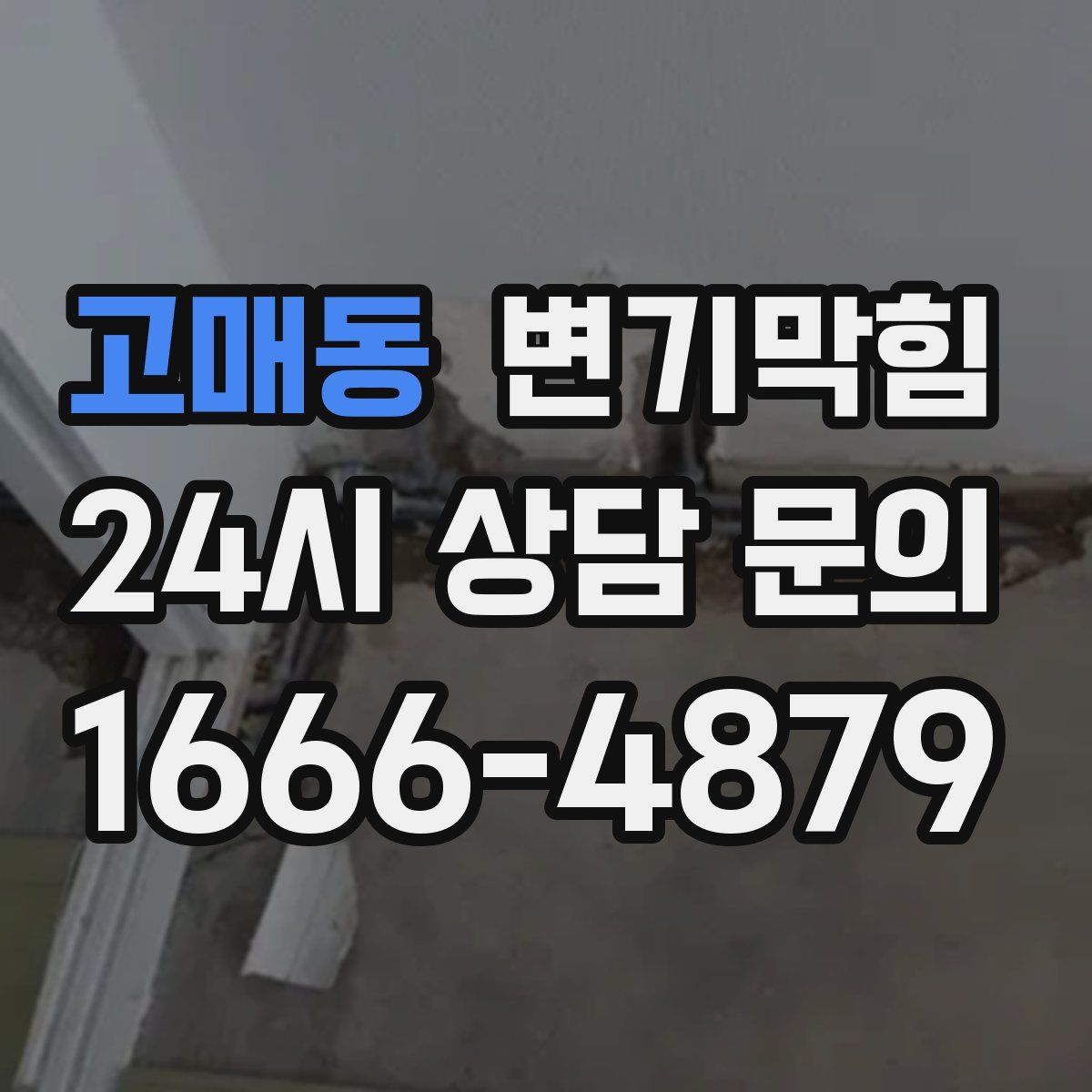 고매동 변기막힘