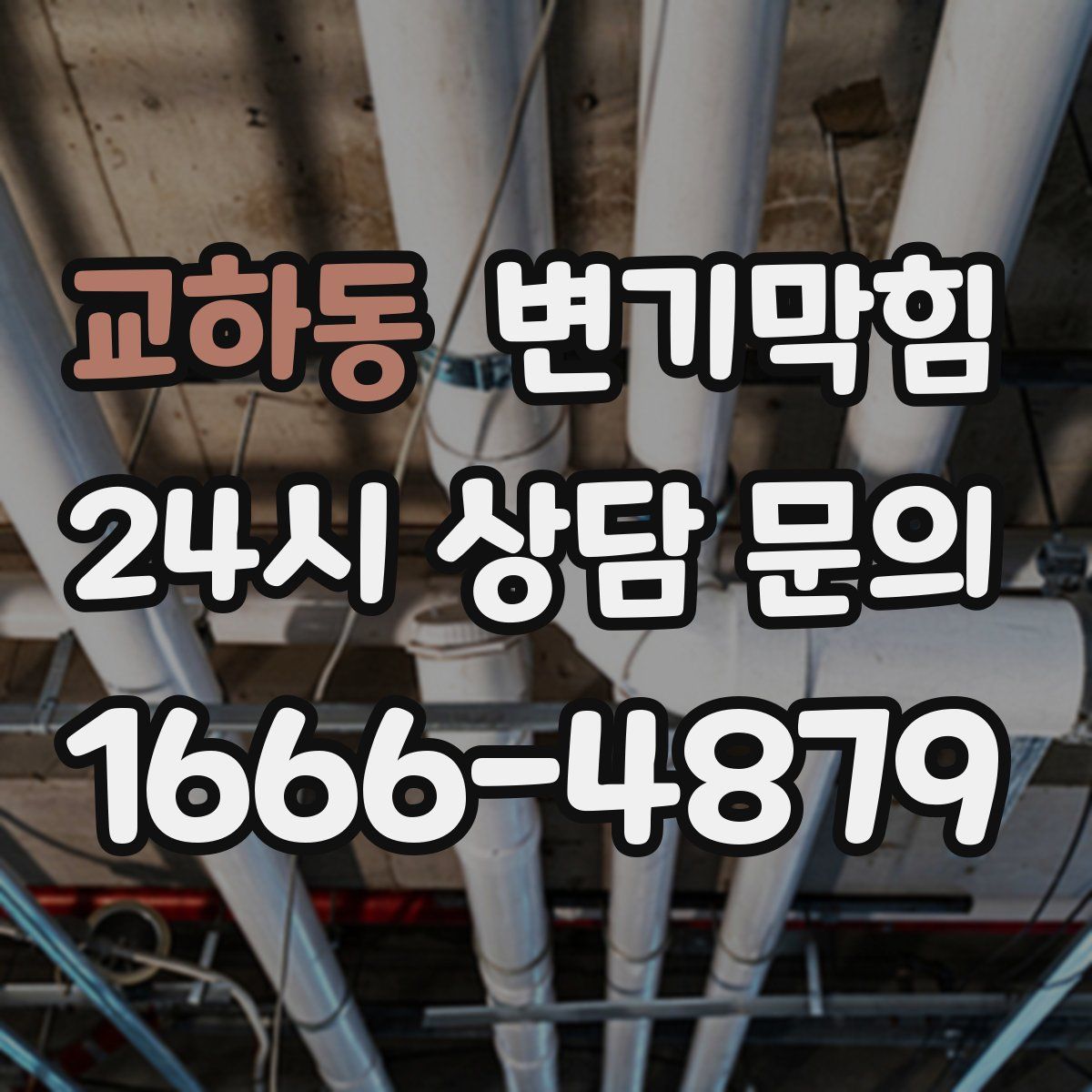 교하동 변기막힘