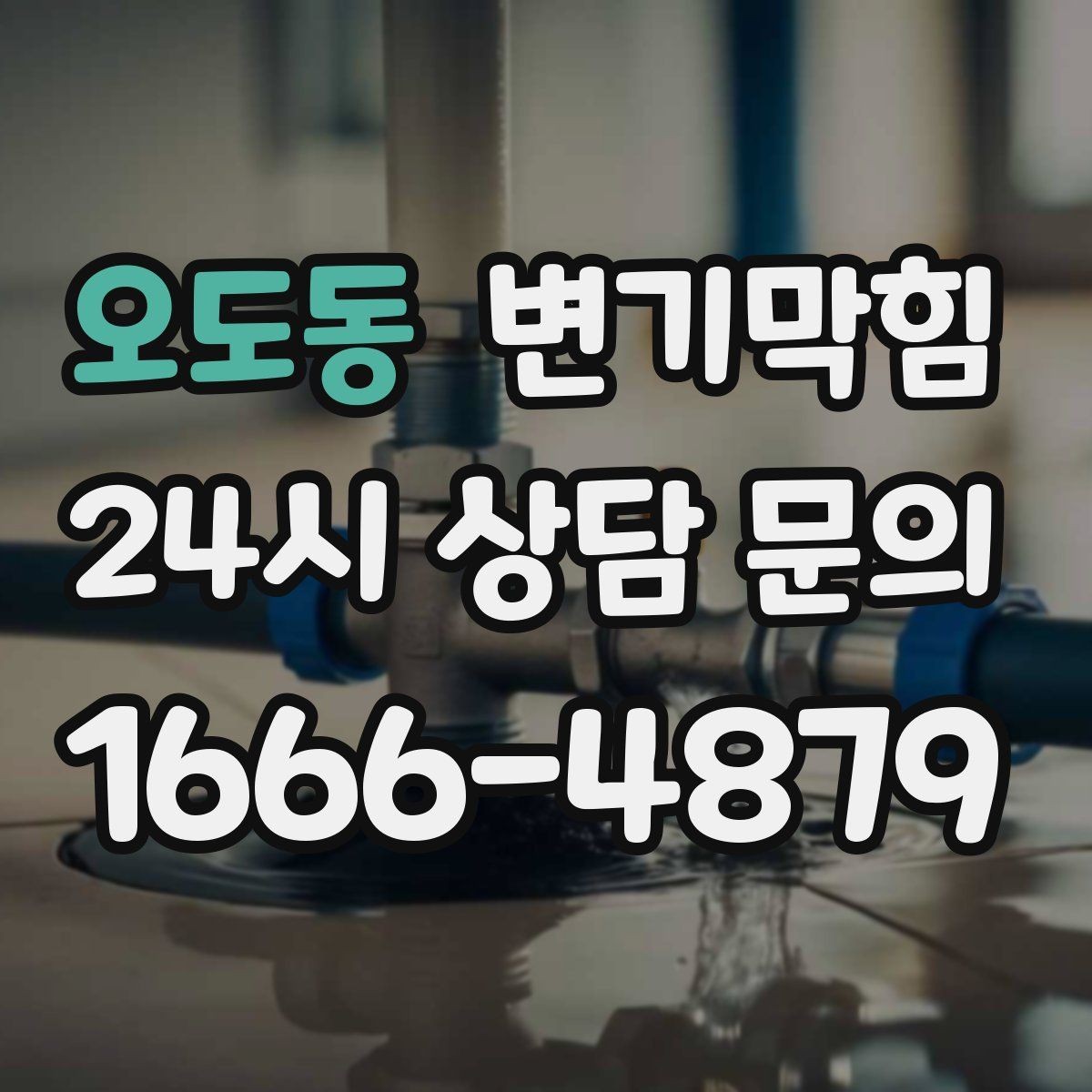오도동 변기막힘 카페 배수구막힘 합류 간섭 제거
