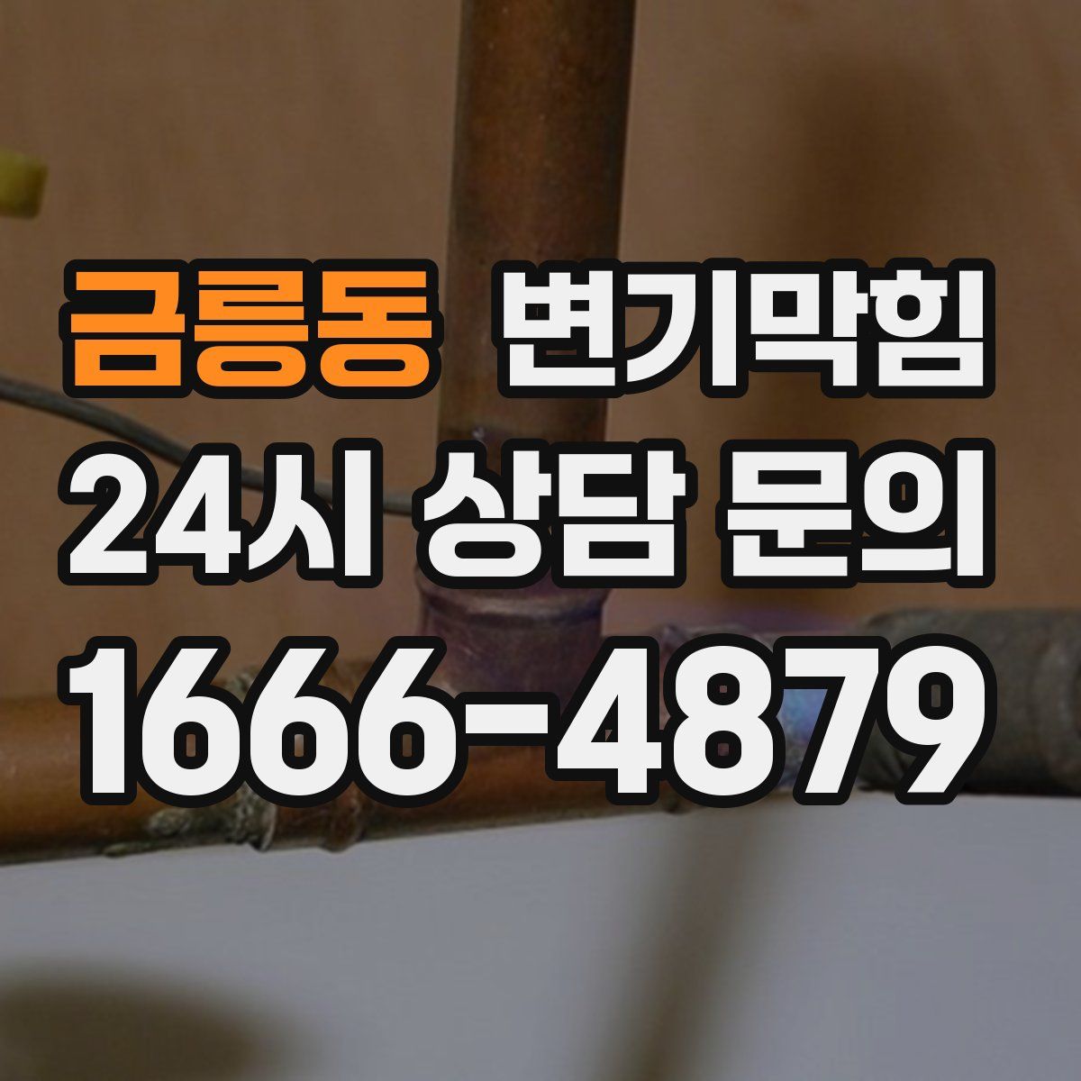 금릉동 변기막힘