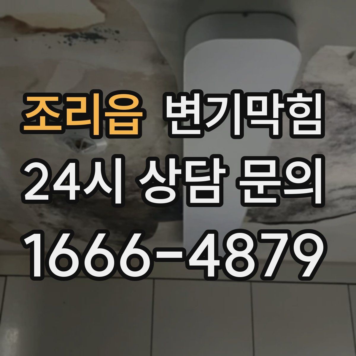 조리읍 변기막힘 미용실 배수구막힘 약제와 컷팅 병행