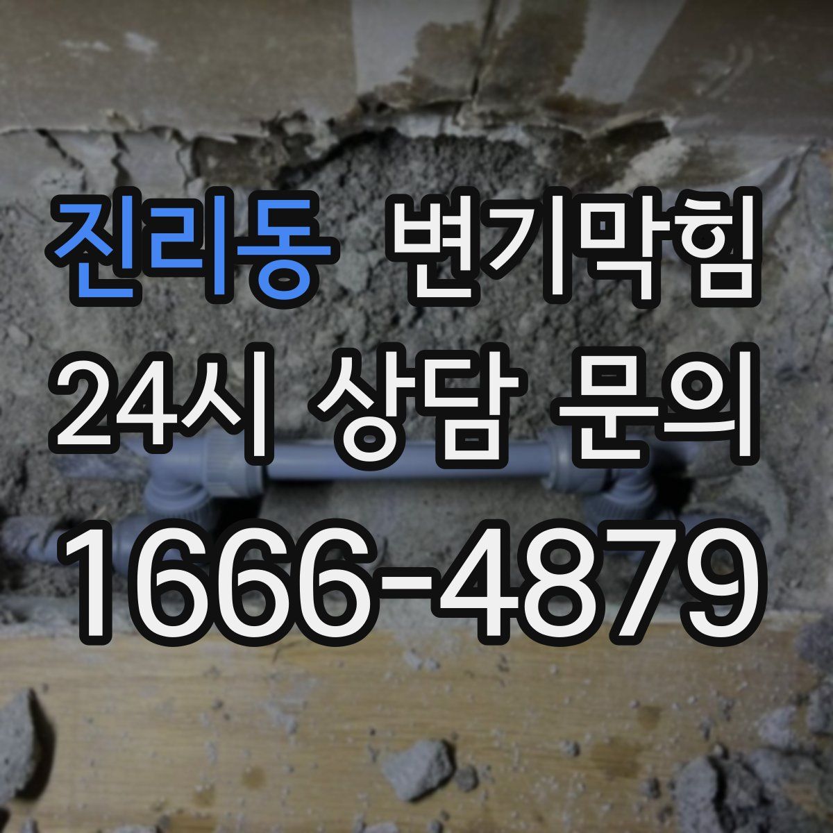 진리동 변기막힘