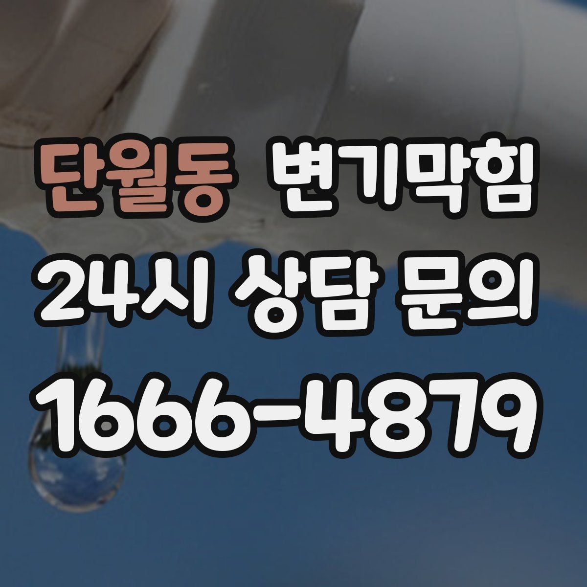 단월동 변기막힘 변기 뚫는 법 탱크 물의 높이 조정 병행
