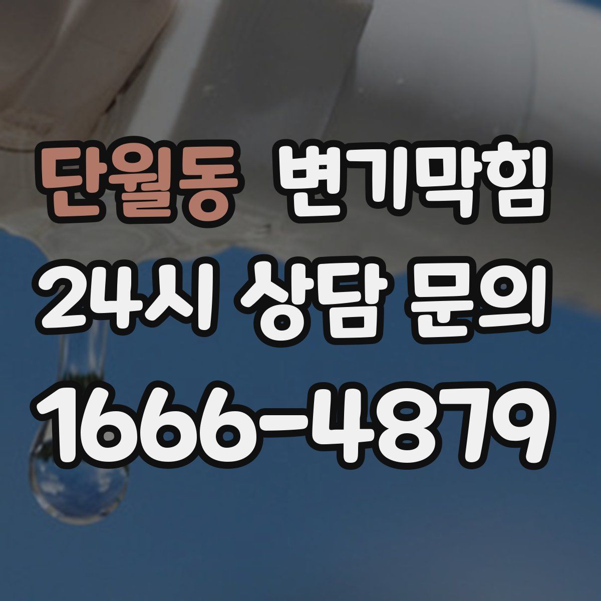 단월동 변기막힘