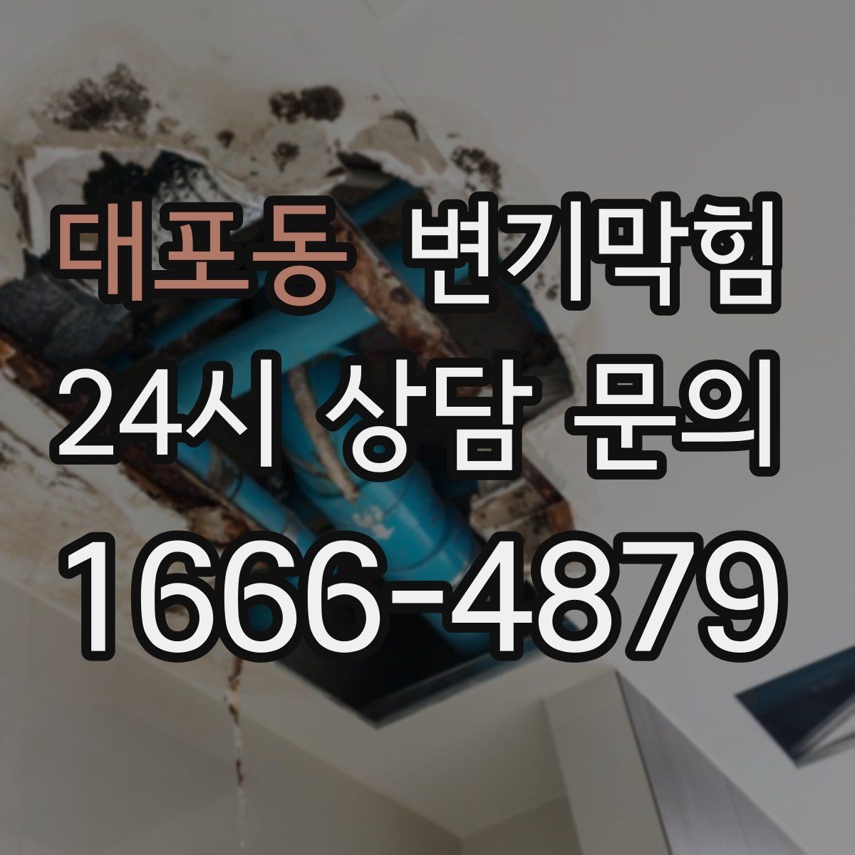 대포동 변기막힘 단독 주택 배수구막힘 누수 루트 차단