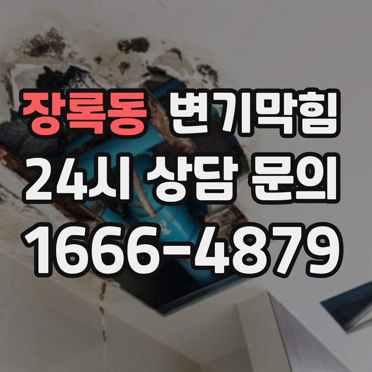 장록동 변기막힘