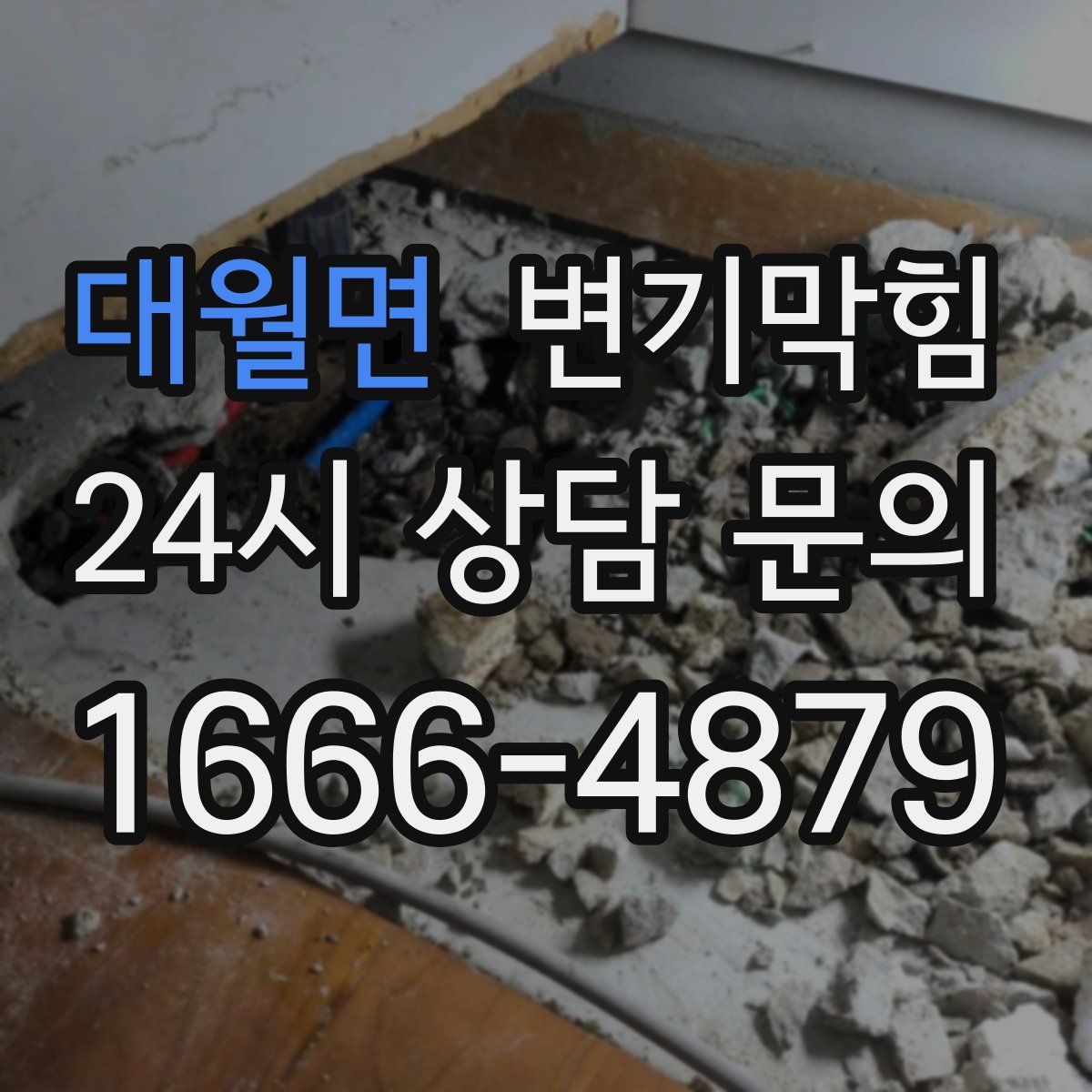 대월면 변기막힘