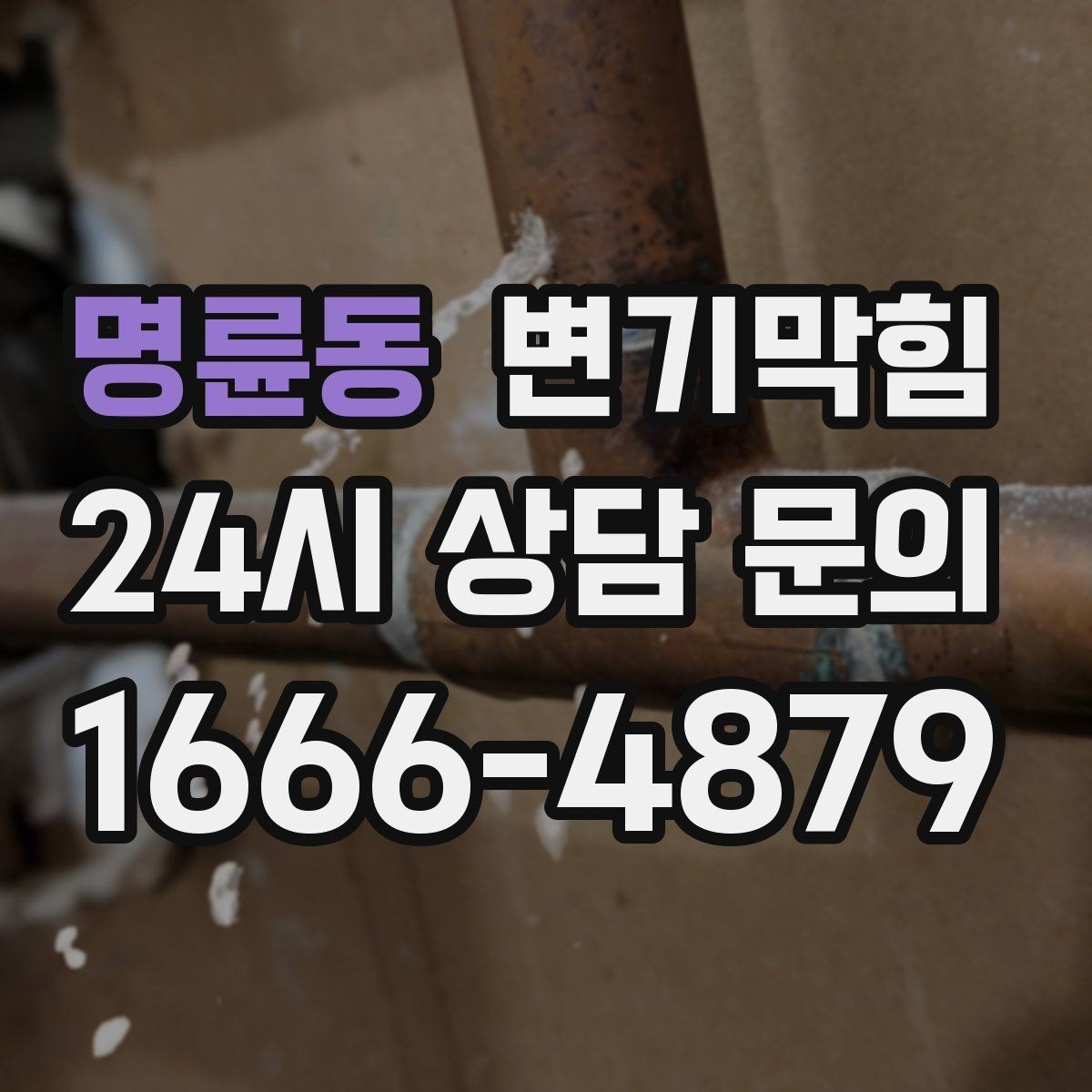 명륜동 변기막힘 원룸 화장실막힘 악취 동반 점검기