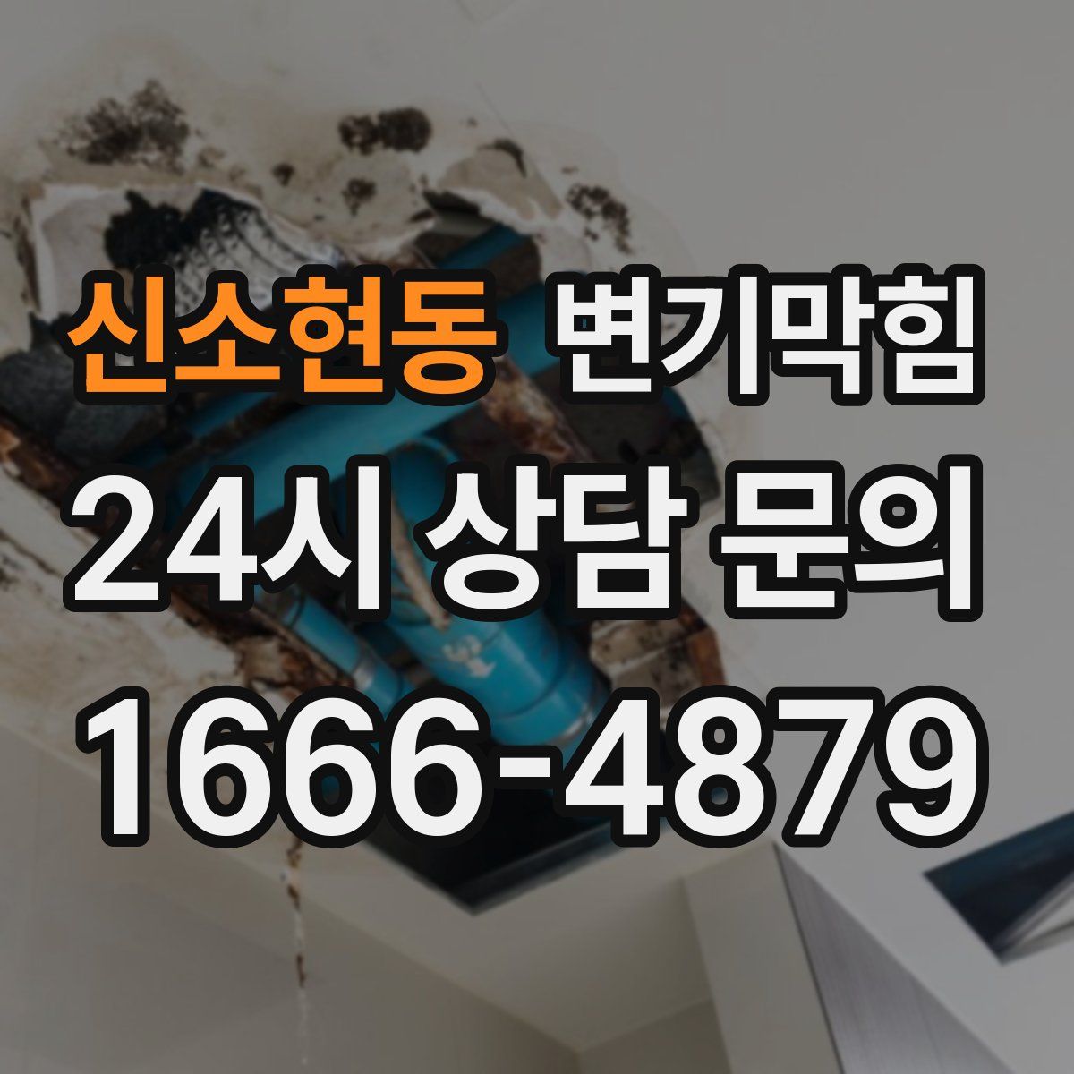 신소현동 변기막힘