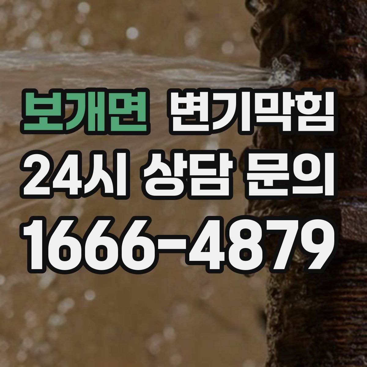 보개면 변기막힘