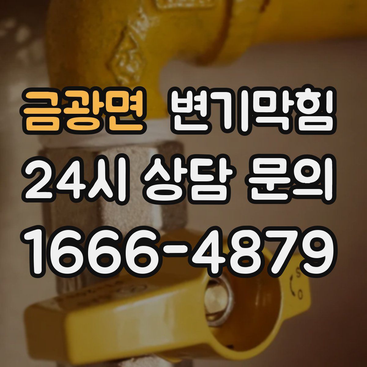 금광면 변기막힘