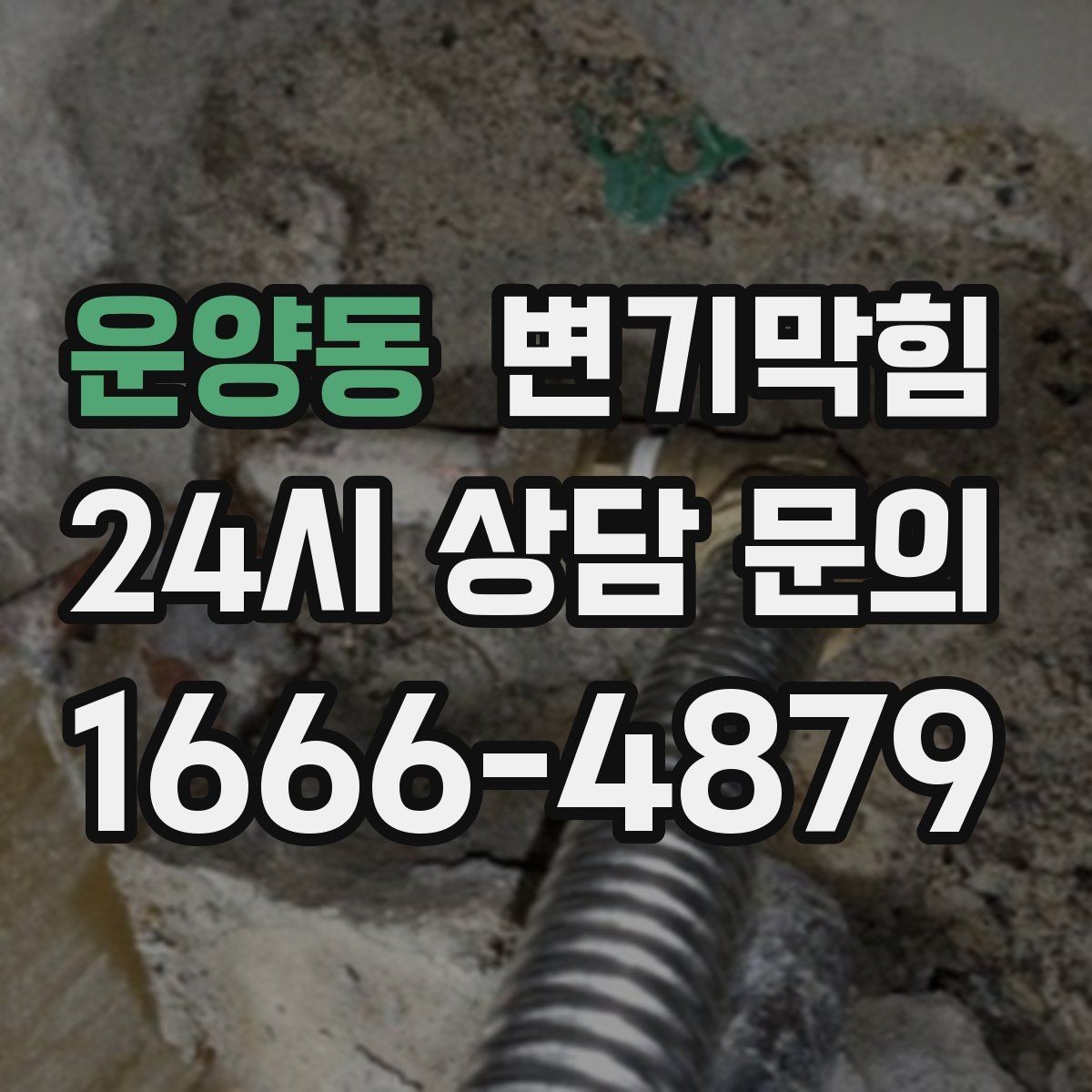 운양동 변기막힘 상가 화장실막힘 고객 동선 지킴