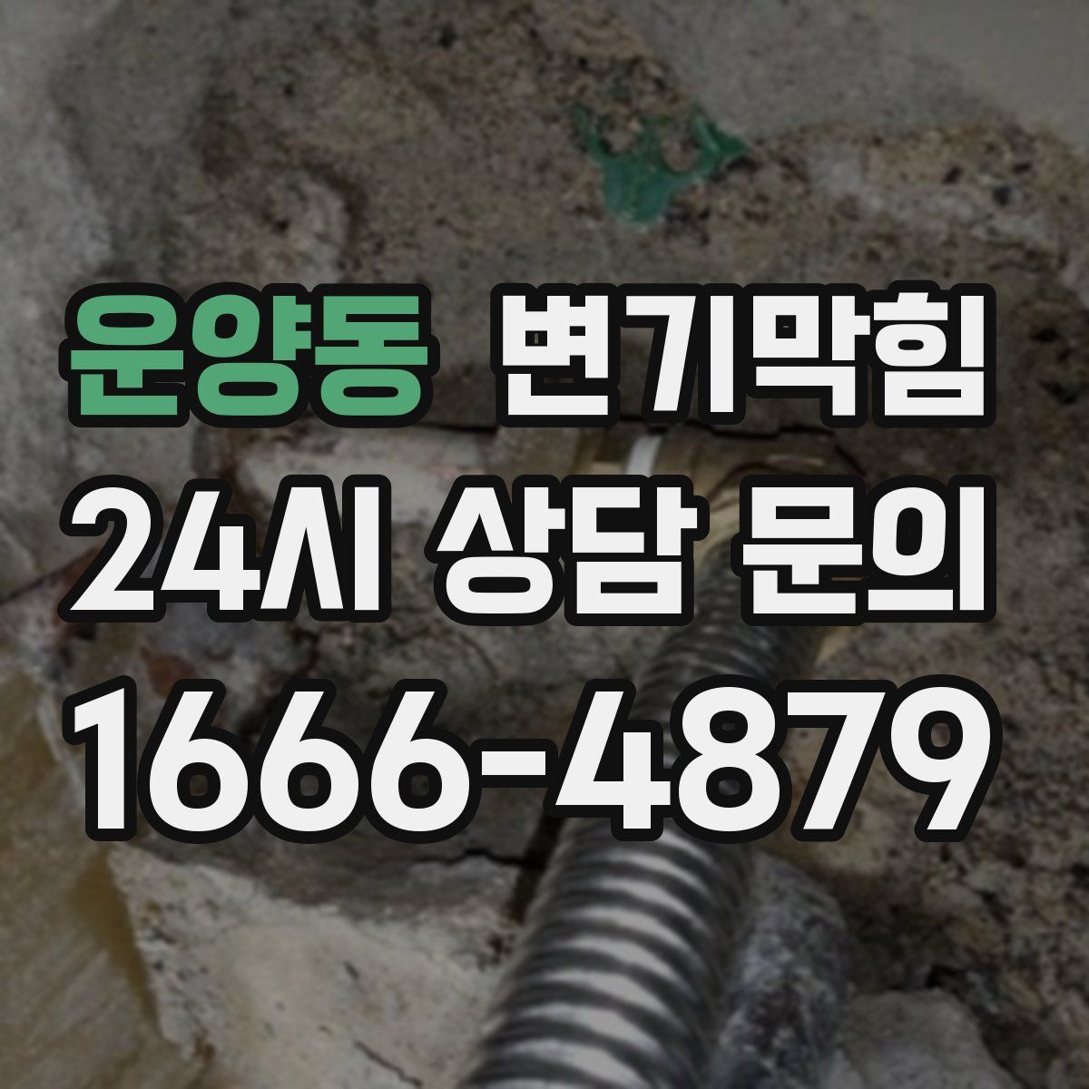 운양동 변기막힘