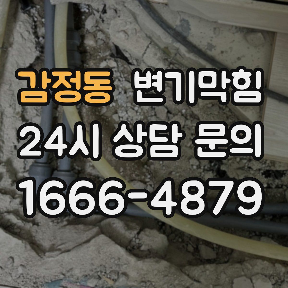 감정동 변기막힘