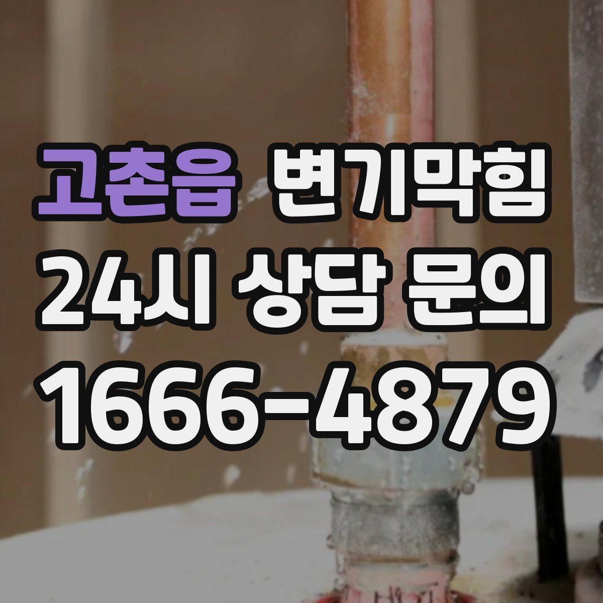 고촌읍 변기막힘 카페 변기뚫기 고객 동선 지킨 현장