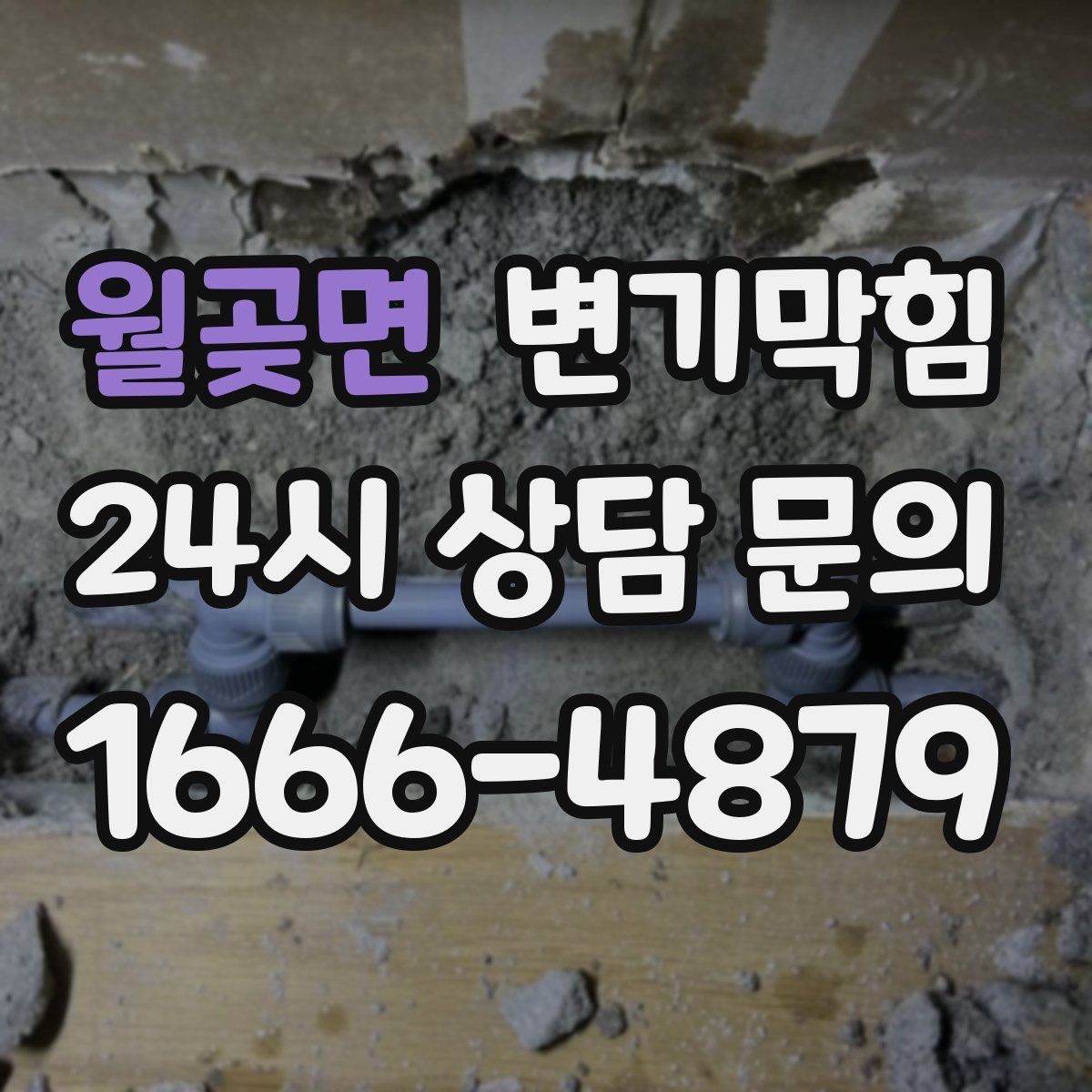 월곶면 변기막힘