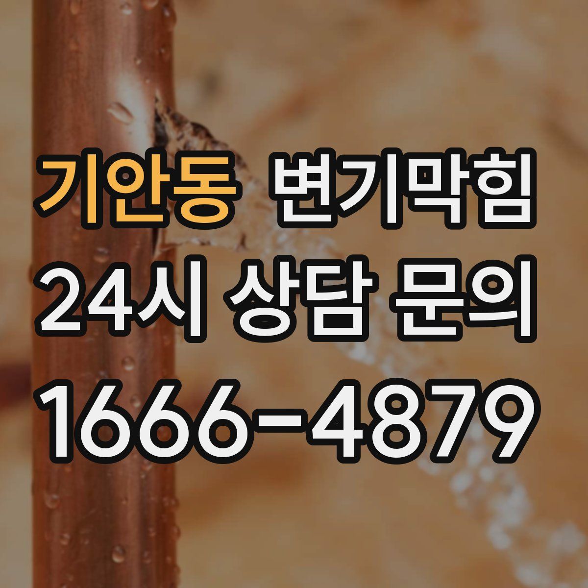 기안동 변기막힘