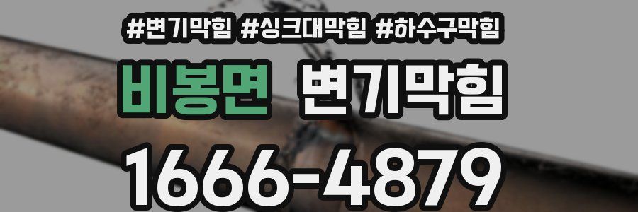 변기막힘