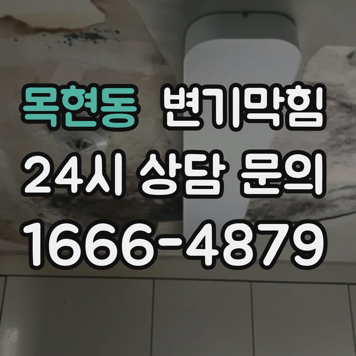 목현동 변기막힘 사무실 배수구막힘 점심 전 퀵 솔루션