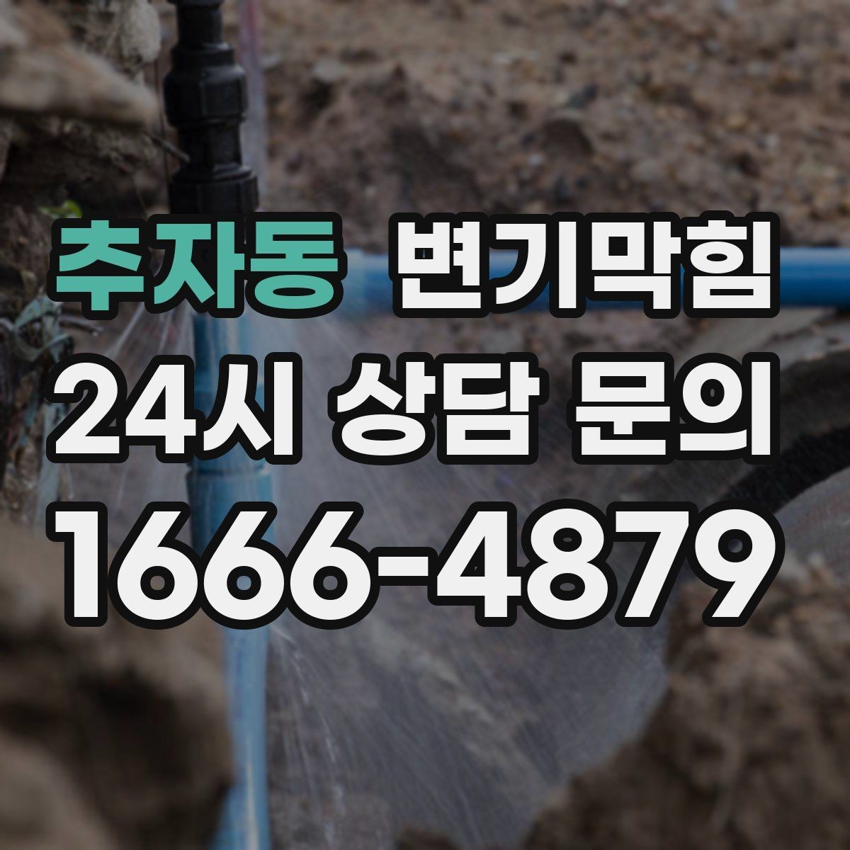 추자동 변기막힘 아파트 배수구막힘 사진 리포트로 확인