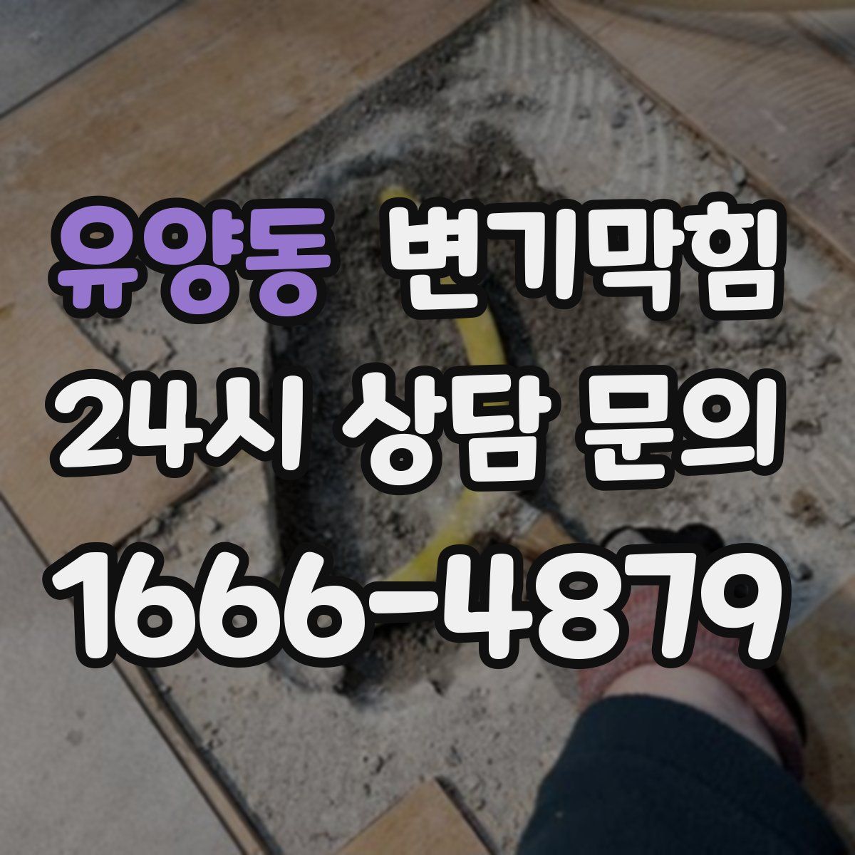 유양동 변기막힘