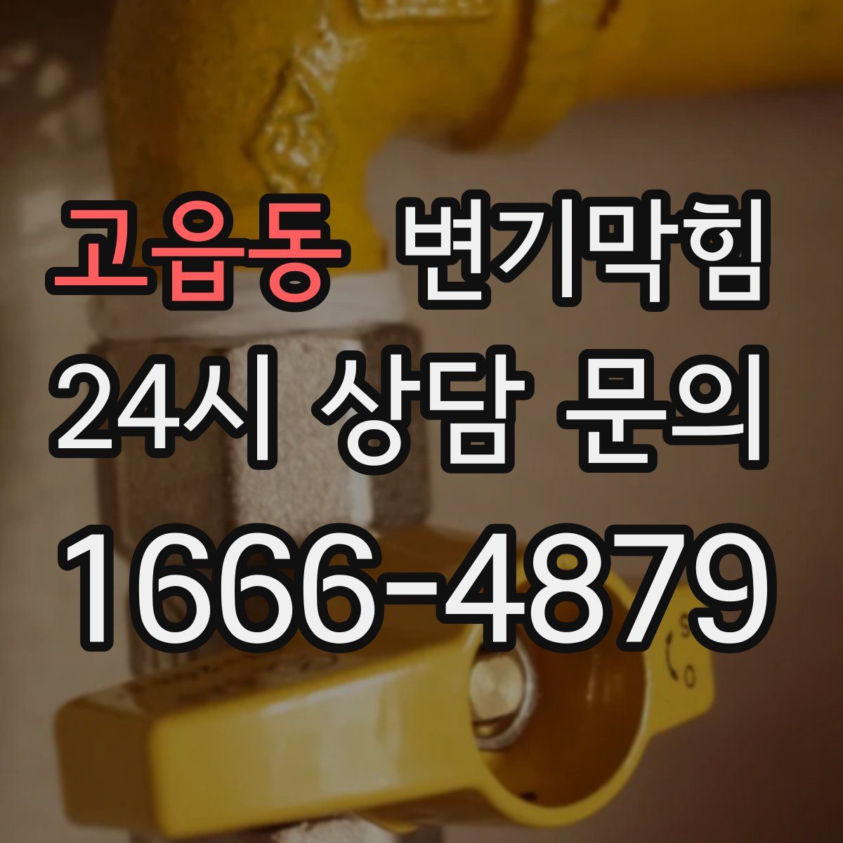 고읍동 변기막힘