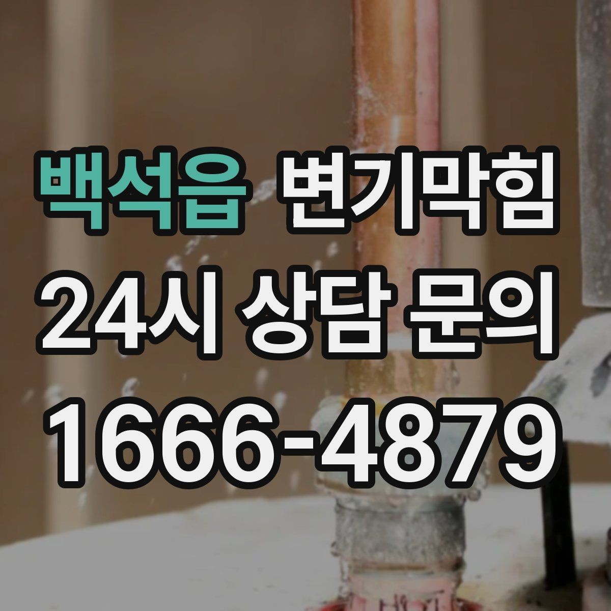 백석읍 변기막힘 다가구 배수구막힘 합류 간섭 제거