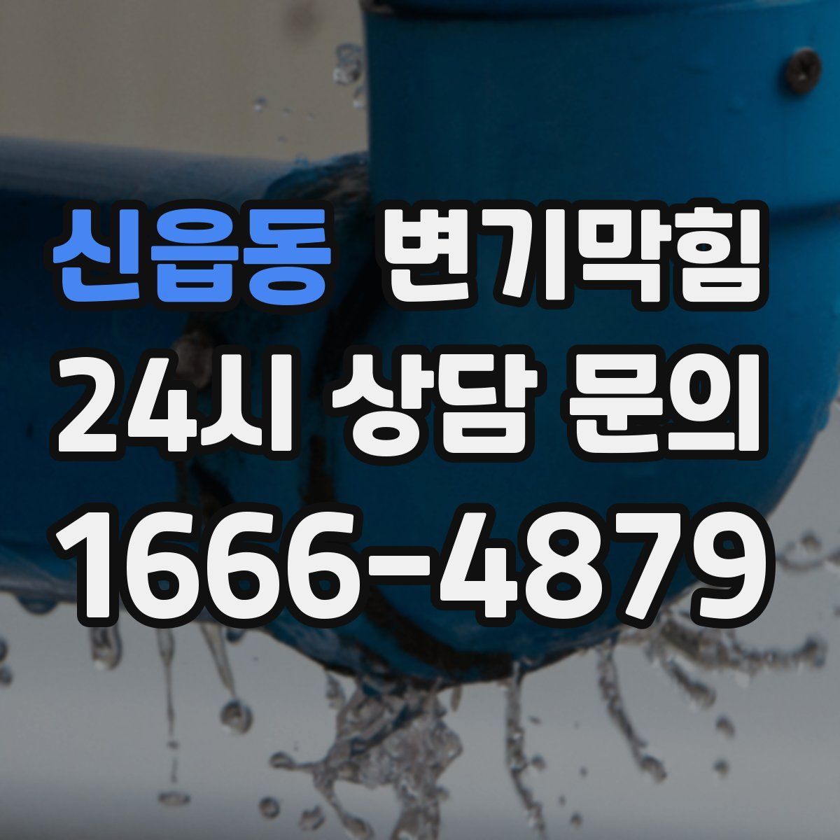 신읍동 변기막힘