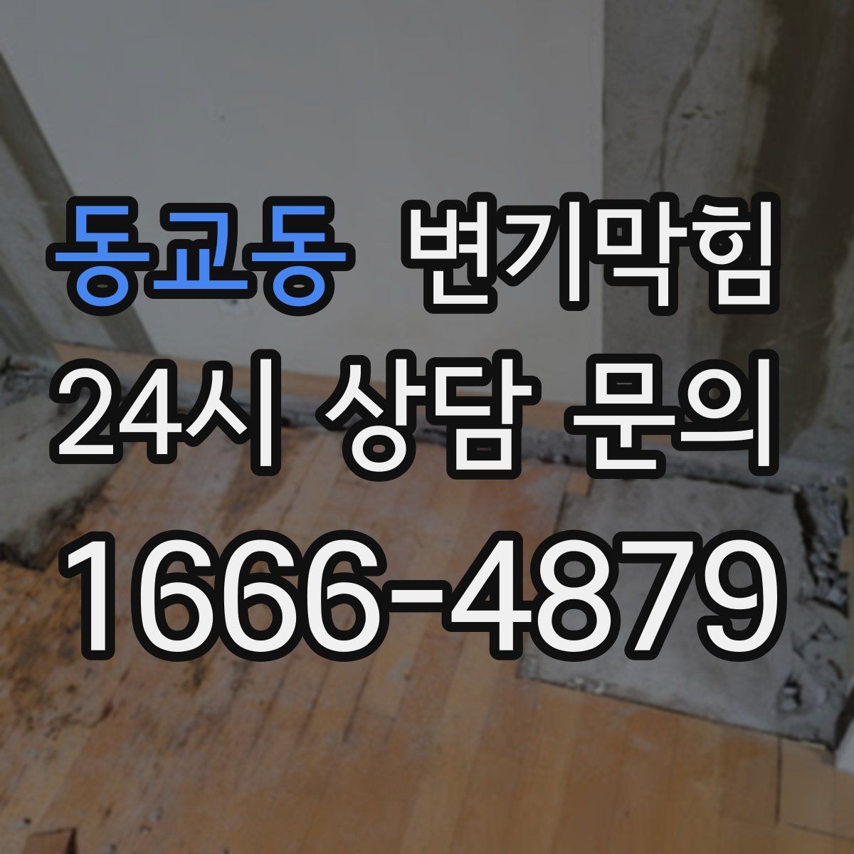 동교동 변기막힘 식당 통기관 역풍·소음 캔슬