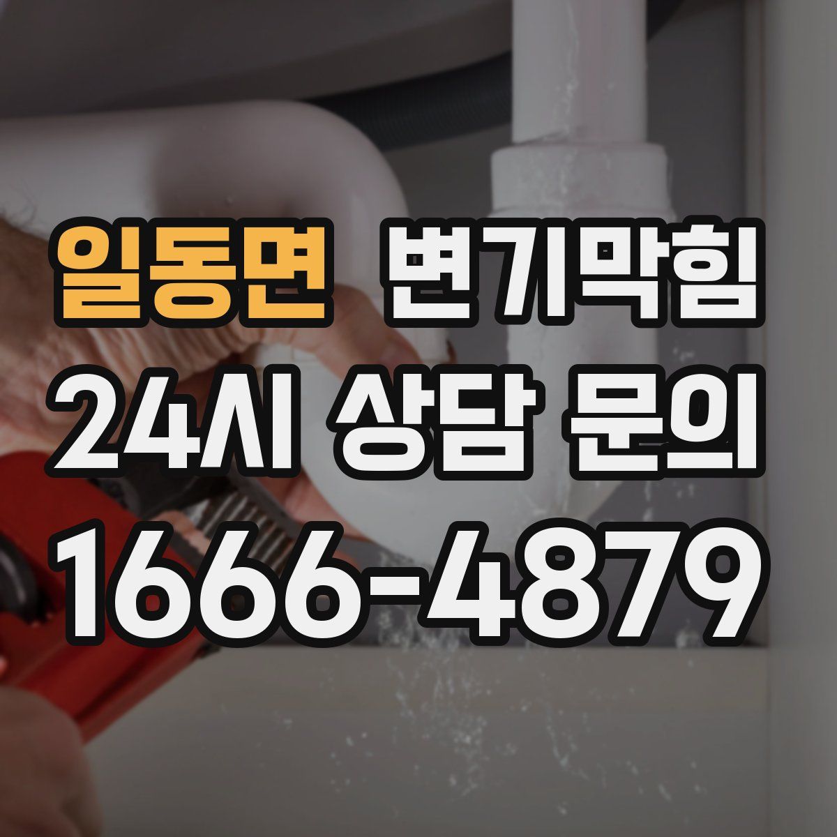 일동면 변기막힘