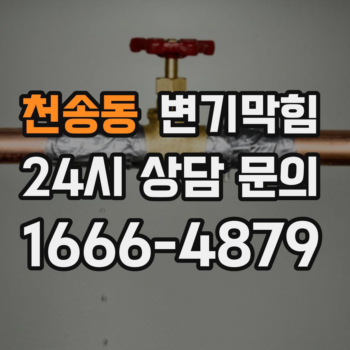 천송동 변기막힘