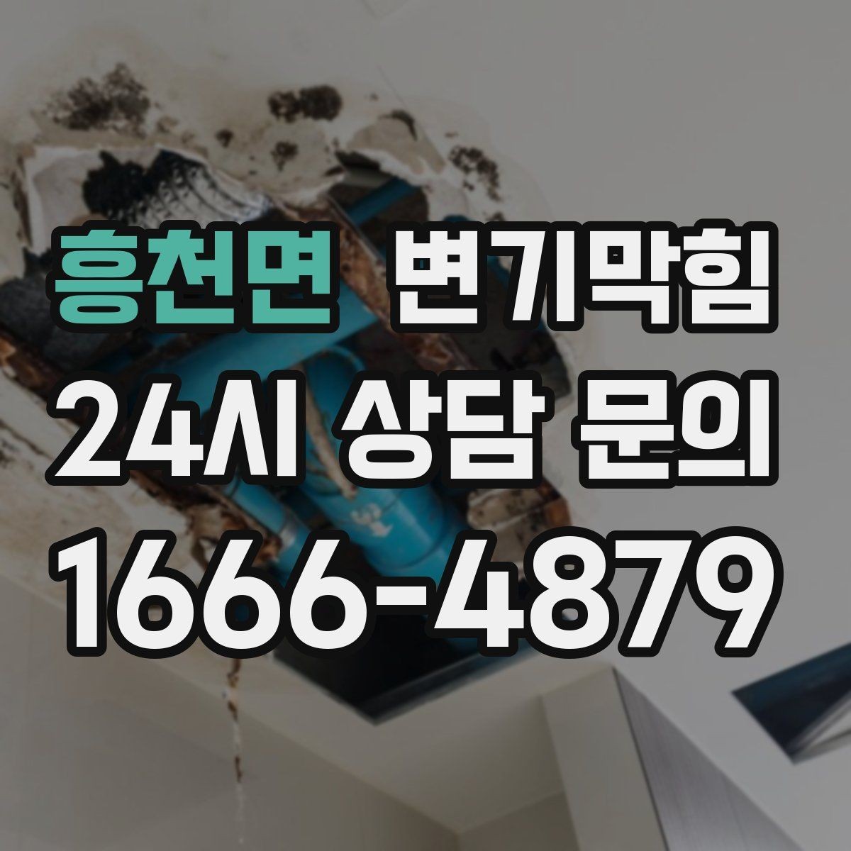 흥천면 변기막힘 아파트 배수구막힘 층간 민원 종결