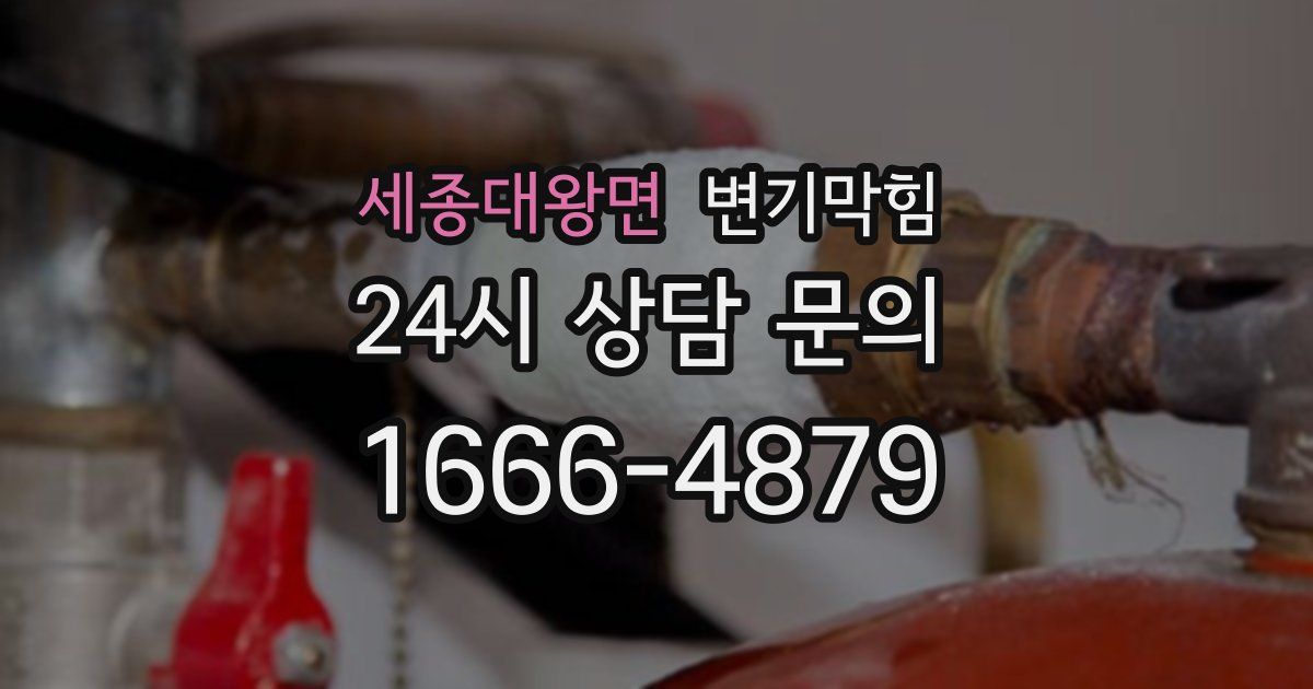 세종대왕면 변기