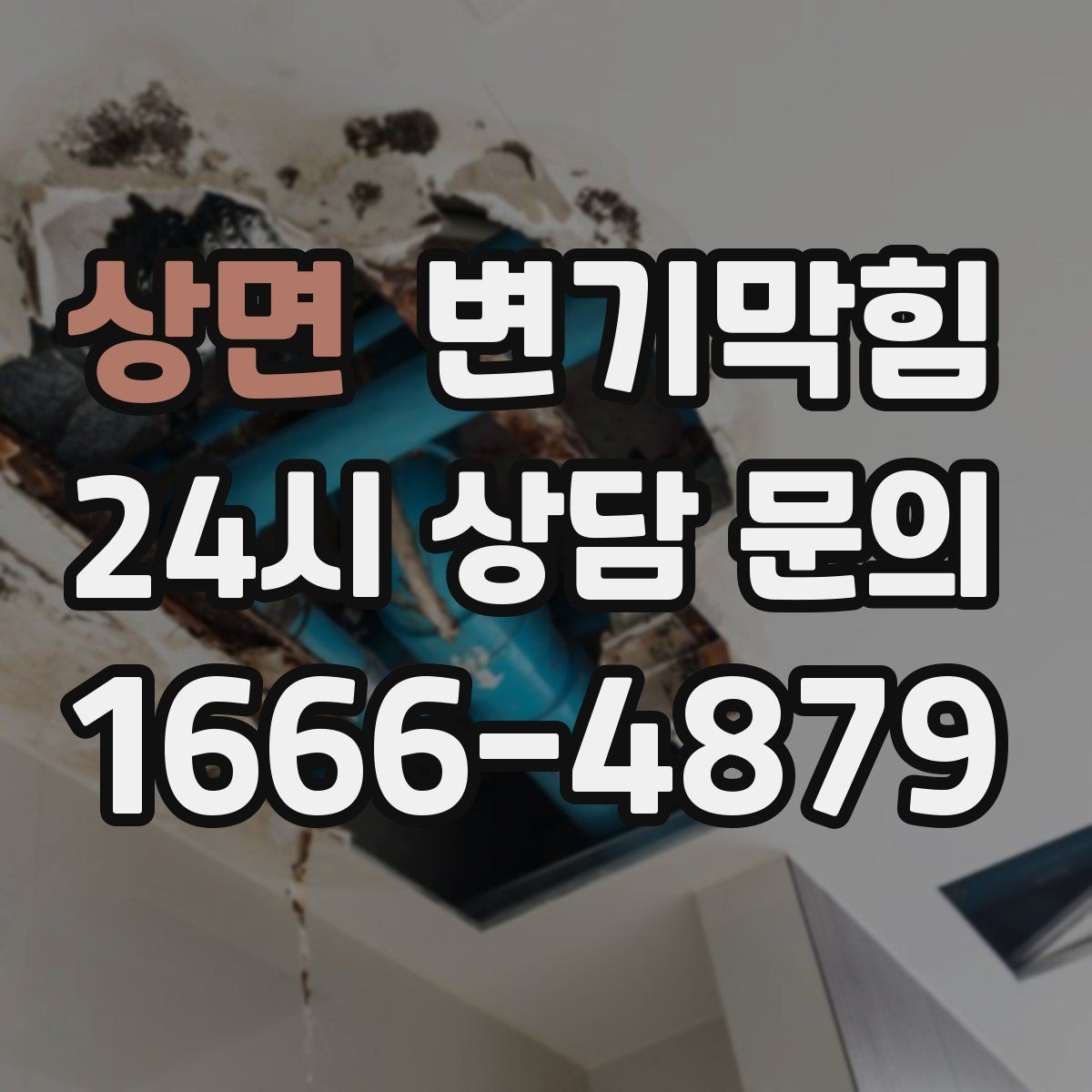상면 변기막힘 미용실 화장실뚫기 무향 소독 마감